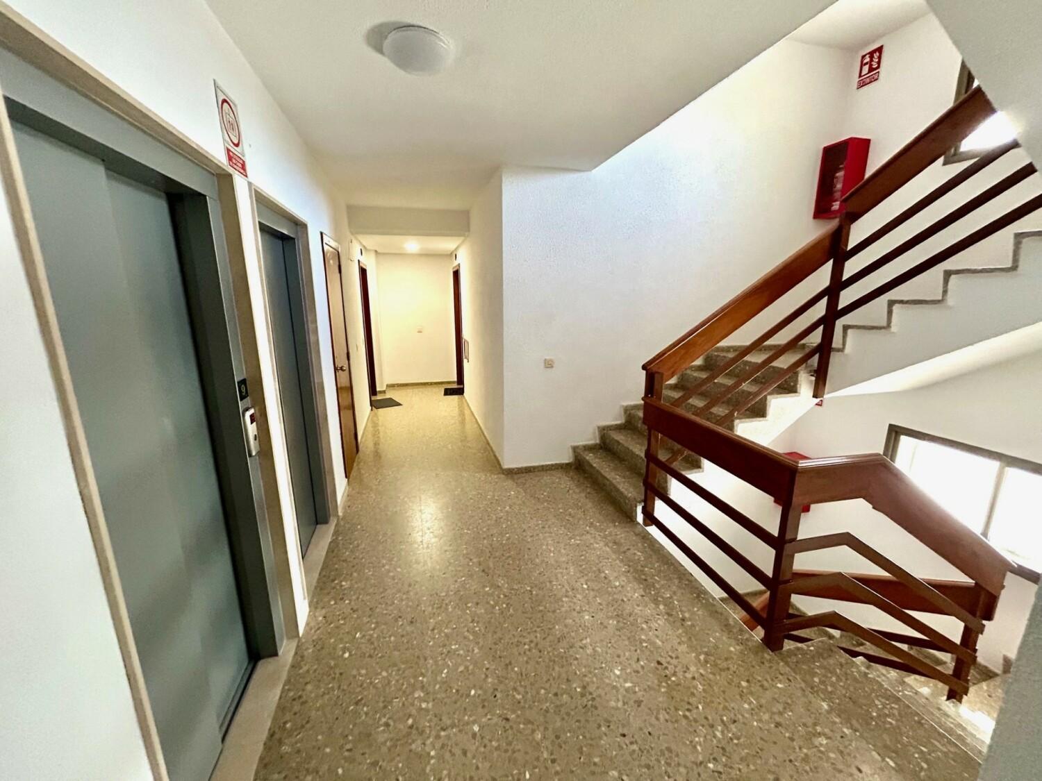 Gatu Arena " Preferente Mayores De 25 Anos Y Familias " El Puerto de Santa Maria Exterior photo